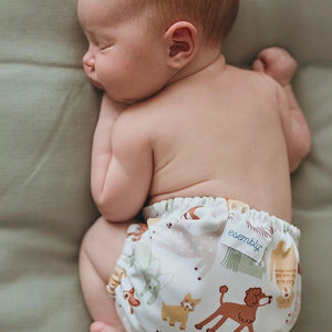 Cloth Diaper